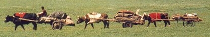 Mongolian family on the move